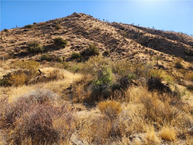 29 Palms, Morongo Valley, CA 92256