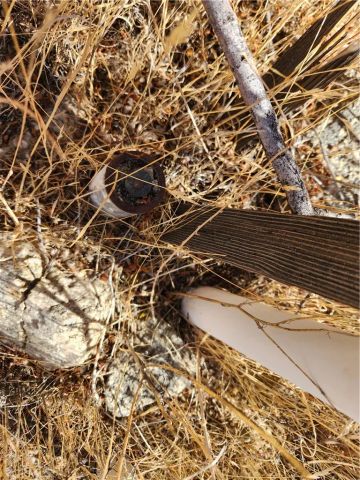 29 Palms, Morongo Valley, CA 92256