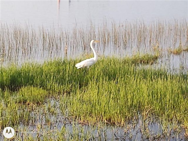 2498 RUSK COURT, Deltona, FL 32738