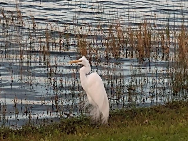 2498 RUSK COURT, Deltona, FL 32738
