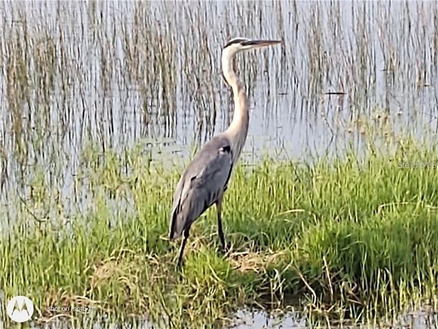 2498 RUSK COURT, Deltona, FL 32738