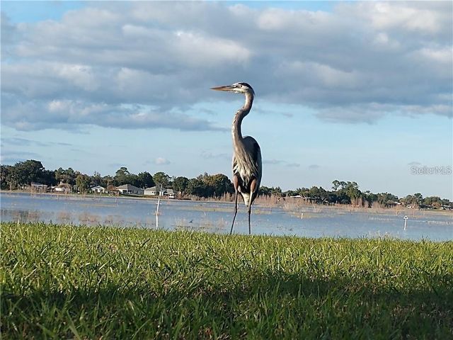 2498 RUSK COURT, Deltona, FL 32738