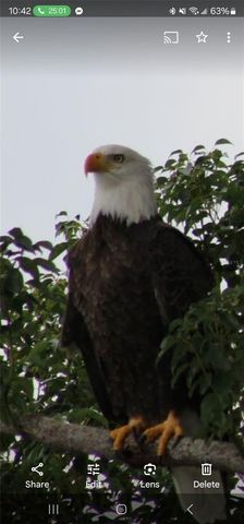 2498 RUSK COURT, Deltona, FL 32738