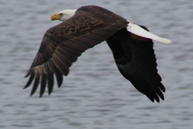 2498 RUSK COURT, Deltona, FL 32738