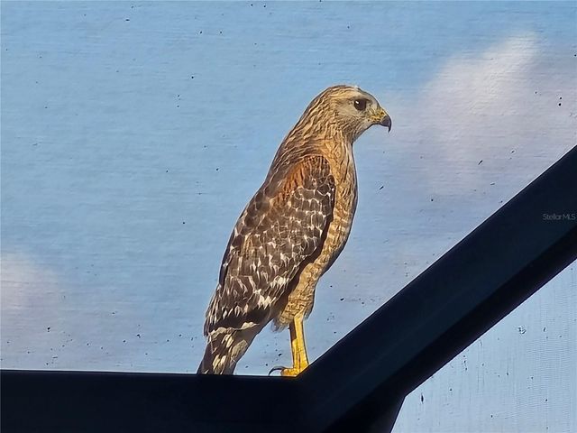 2498 RUSK COURT, Deltona, FL 32738