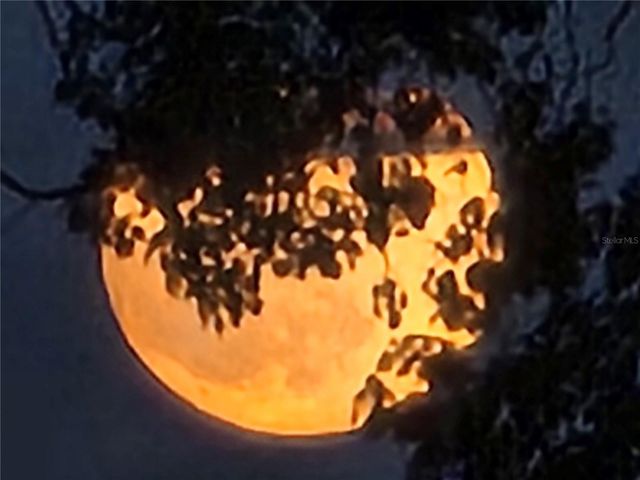 2498 RUSK COURT, Deltona, FL 32738