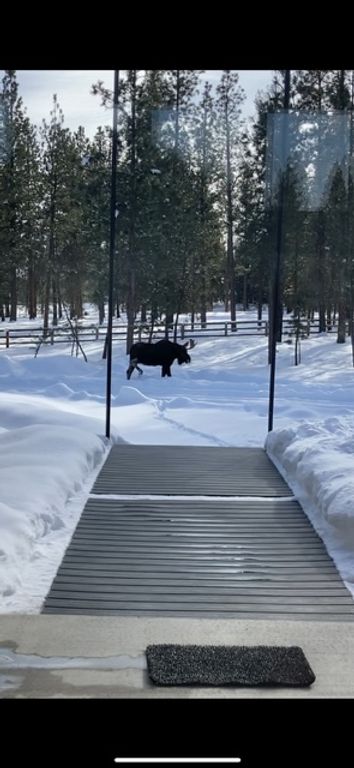 829 Pheasant Run, Hamilton, MT 59840 photo 57