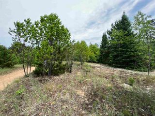 5 Acres Little Lane, Kalkaska, MI 49646