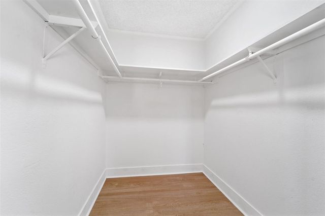 5106 CALHOUN ROAD, Plant City, FL 33567