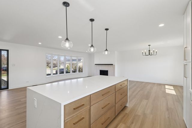 8135 W Rascher Avenue, Chicago, IL 60656