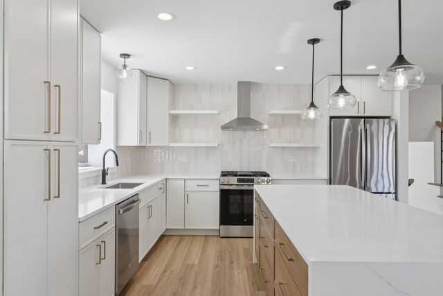 8135 W Rascher Avenue, Chicago, IL 60656