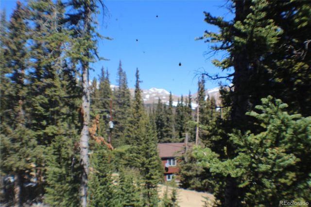 767 Valley Of The Sun Drive, Fairplay, CO 80440
