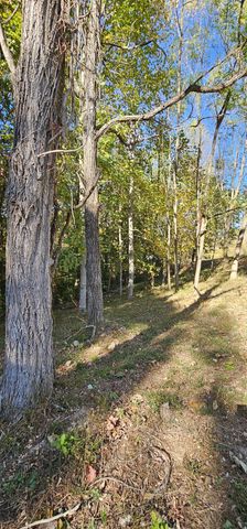 0 Davidson Rd, Smithville, TN 37166