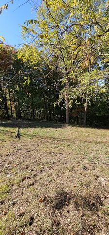 0 Davidson Rd, Smithville, TN 37166