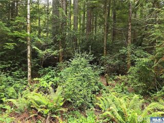 15521 20th Street SW, Lakebay, WA 98349