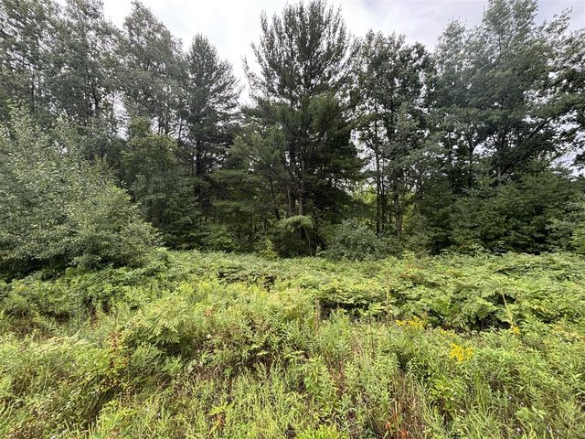 22475 4 Mile Road, Morley, MI 49336