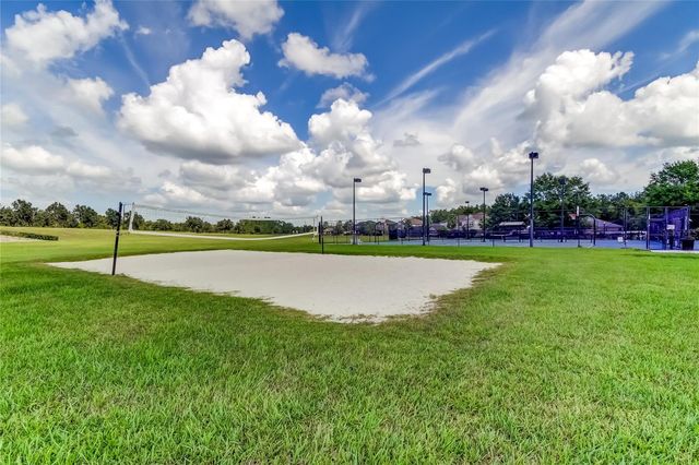 21851 LYONIA LANE, Land O Lakes, FL 34637
