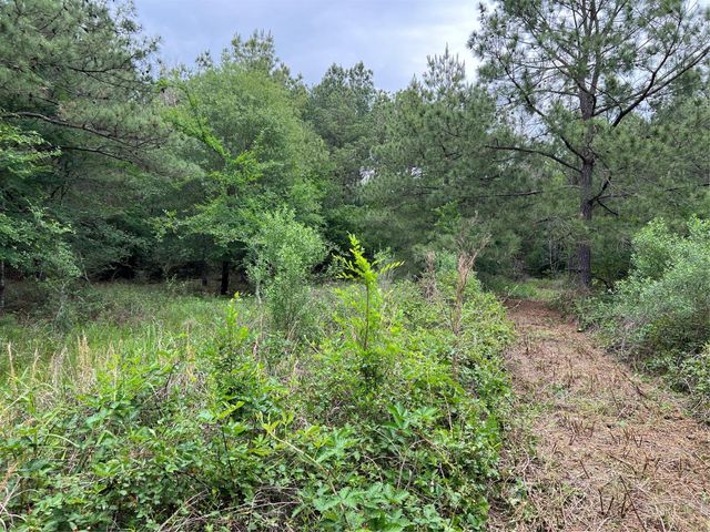 0019 English Rd Road, Bedias, TX 77831