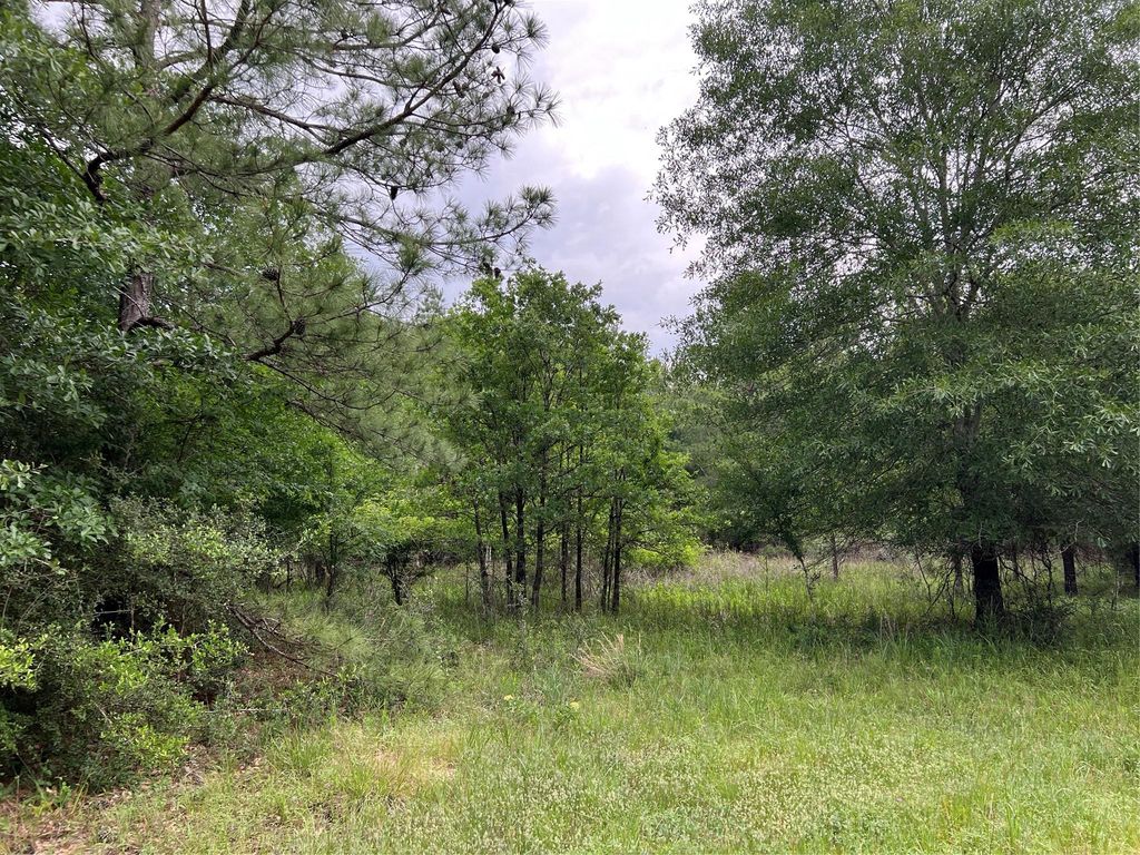 0019 English Rd Road, Bedias, TX 77831