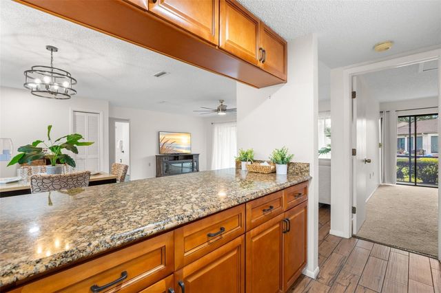 40 SYLVIA PLACE, Oldsmar, FL 34677