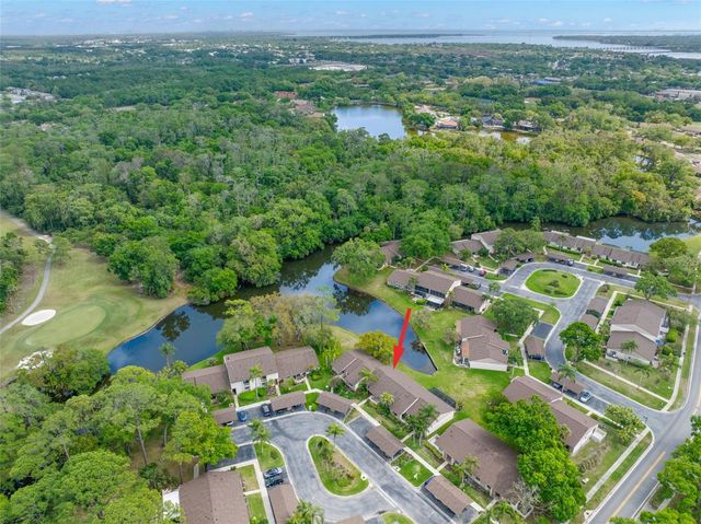 40 SYLVIA PLACE, Oldsmar, FL 34677