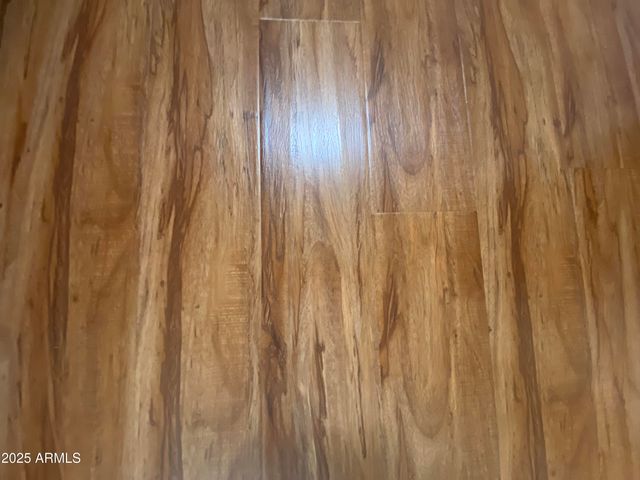 1549 W Yurok Avenue, Apache Junction, AZ 85119