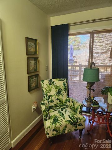 36 Ravencroft Lane, Asheville, NC 28803