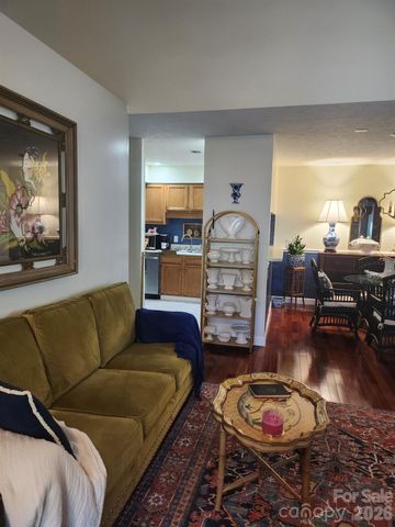 36 Ravencroft Lane, Asheville, NC 28803