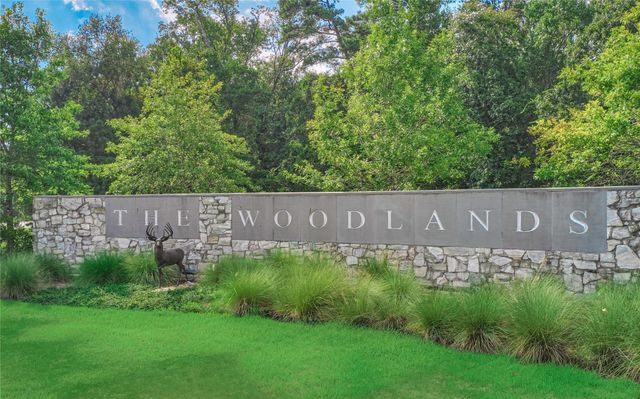 11 Ryanwyck Place, The Woodlands, TX 77384