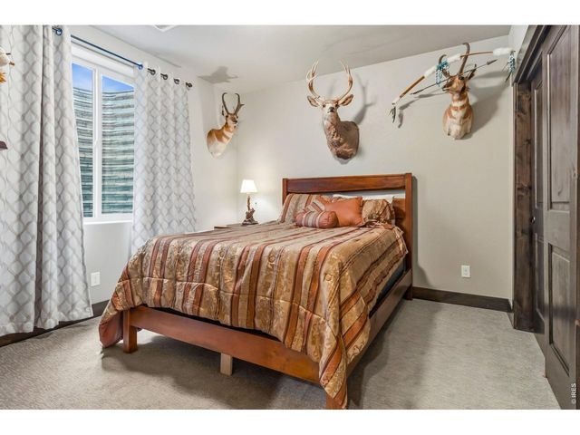 551 Vermilion Peak Dr, Windsor, CO 80550