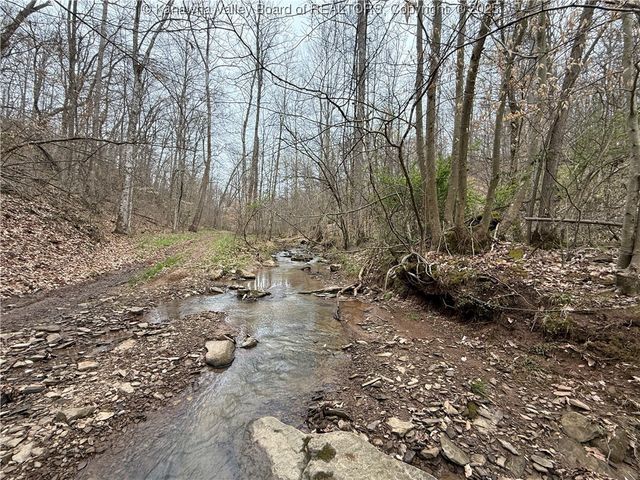 3177 Mt Union Road, Fraziers Bottom, WV 25082