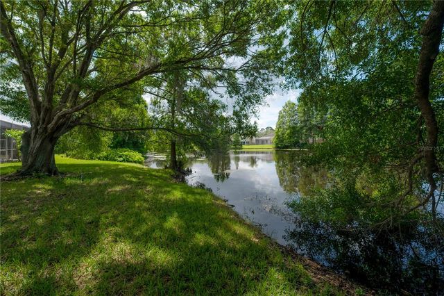 11820 EASTHAMPTON DRIVE, Tampa, FL 33626