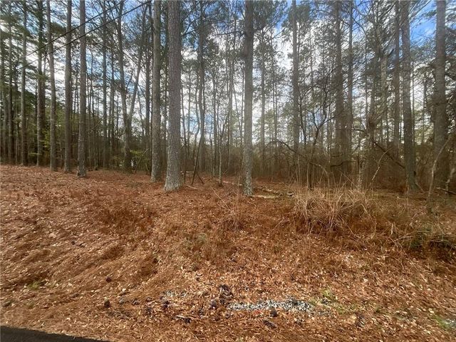 8615 Smith James Road, Snellville, GA 30039