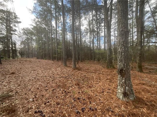 8615 Smith James Road, Snellville, GA 30039