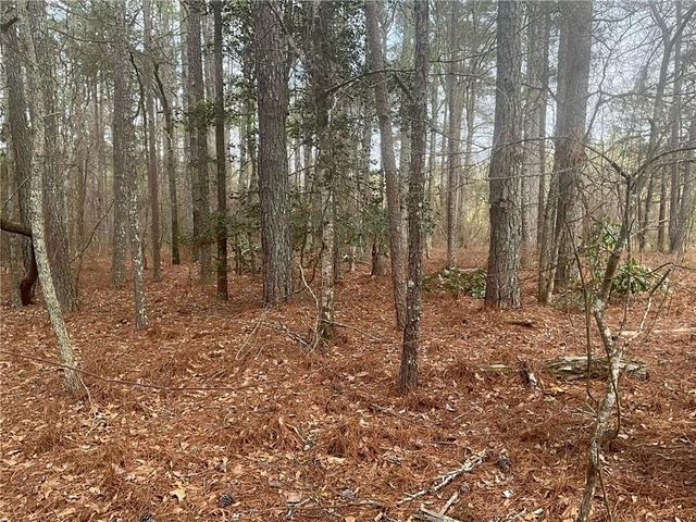 8615 Smith James Road, Snellville, GA 30039