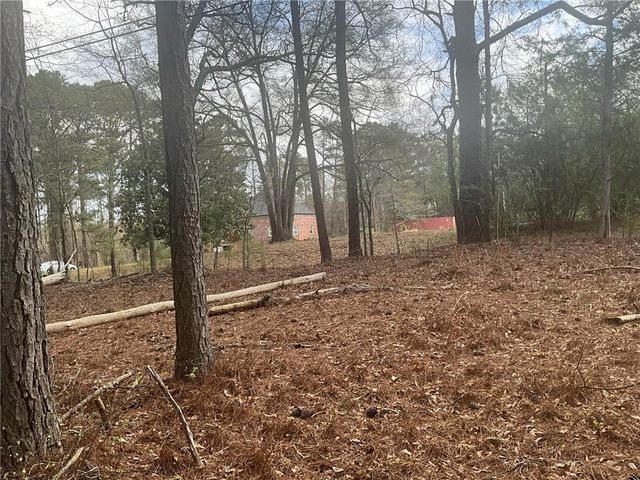 8615 Smith James Road, Snellville, GA 30039