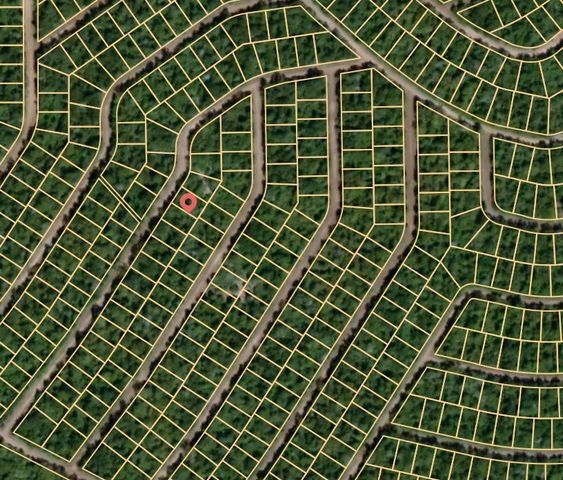 Lot 4 Cardinal, Normangee, TX 77871