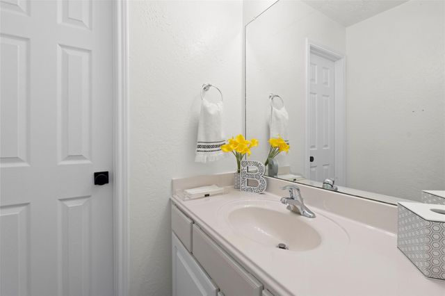 17326 Chestnut Bluff Dr, Houston, TX 77095