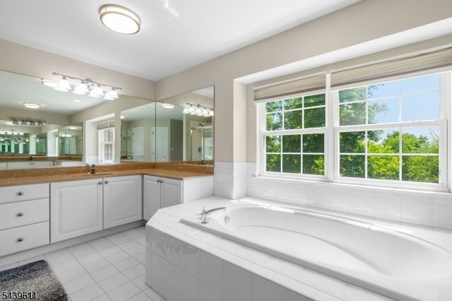 3 Culture Ct, West Amwell Twp., NJ 08530