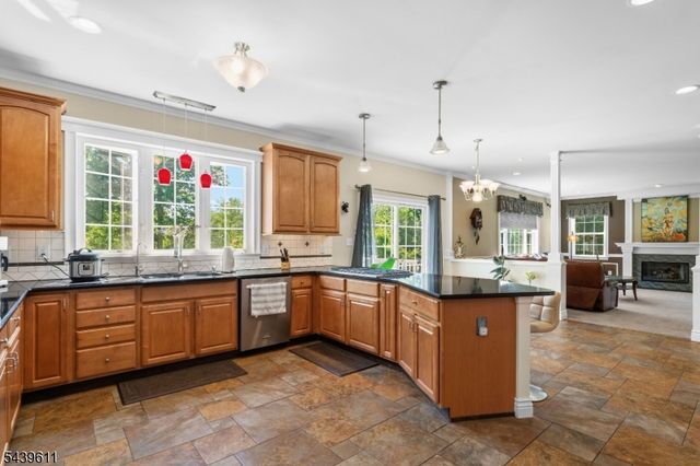 3 Culture Ct, West Amwell Twp., NJ 08530