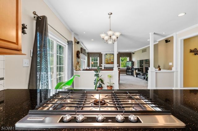 3 Culture Ct, West Amwell Twp., NJ 08530