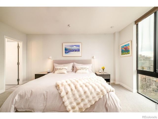 1111 Race Street 4B, Denver, CO 80206