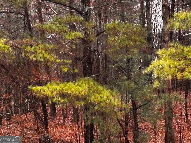 0 Talona Road, Ellijay, GA 30540