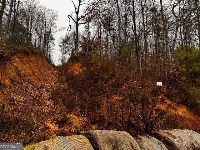 0 Talona Road, Ellijay, GA 30540