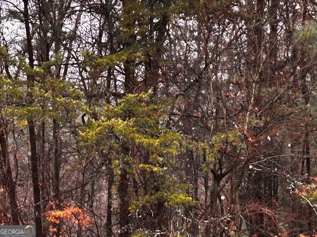 0 Talona Road, Ellijay, GA 30540