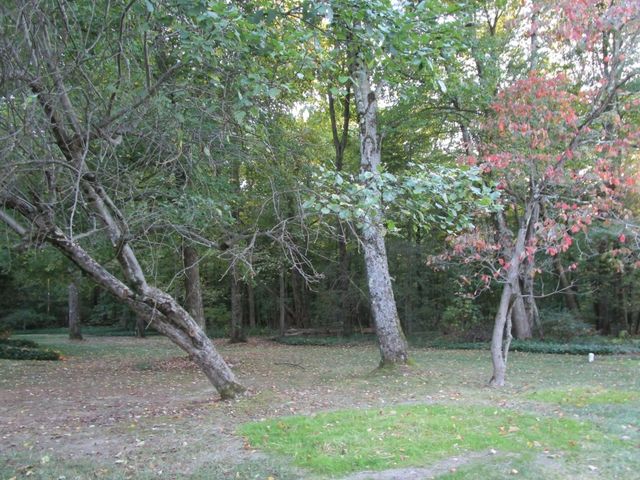 378 COLE Drive, Meadville, PA 16335