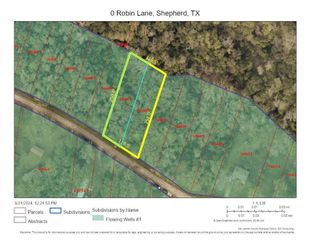 TBD Robin Lane, Shepherd, TX 77371