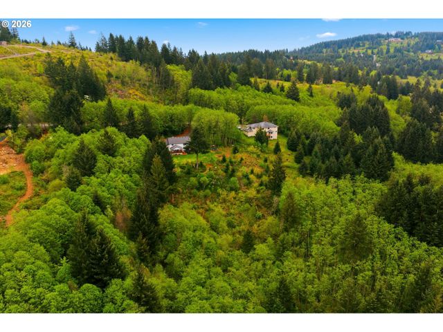 30100 Ne SPUD MOUNTAIN Rd, Camas, WA 98607