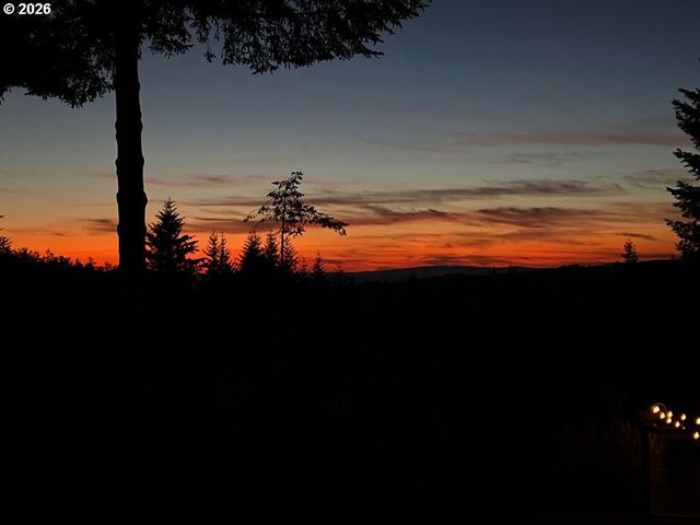 30100 Ne SPUD MOUNTAIN Rd, Camas, WA 98607