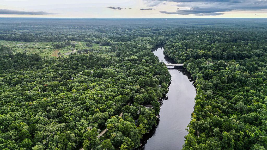 Image 108 of property listing at 197 Hideaway Lane, Ridgeville, SC 29472